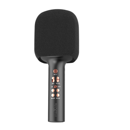 Maxlife MXBM-600-BK