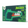Forever Light FLNJ03 JURASSIC CROC Neon LED Signboard