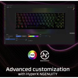 HyperX 4P5D6AA ABA