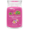 Yankee Candle Art In The Park 368 g