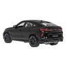 Rastar ZRC.99200.CZ