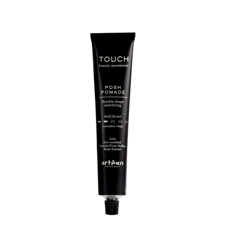 Artègo Touch Posh Pomade Flexible Shape Mattifying 100 ml