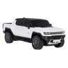 Rastar ZRC.93100.BIA