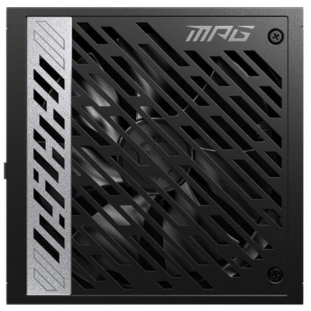 MSI MPGA1000GPCIE51000W
