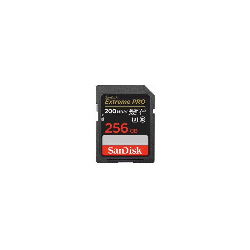 SanDisk SDSDXXD-256G-GN4IN