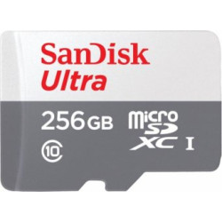 SanDisk SDSQUNR-256G-GN3MN