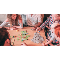 Brain Games Carcassonne Board Game