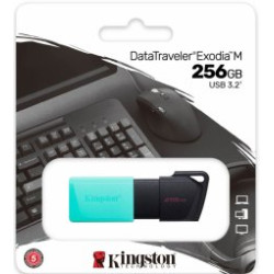 Kingston DTXM/256GB