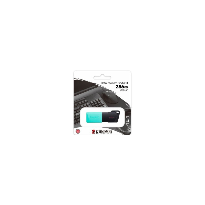 Kingston DataTraveller Exodia M 256GB Flash memory