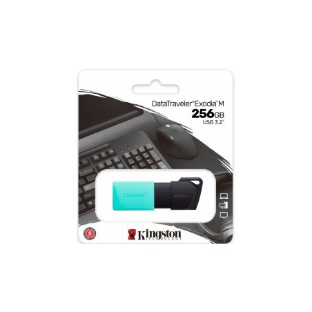 Kingston DataTraveller Exodia M 256GB Flash memory