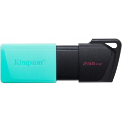 Kingston DataTraveller Exodia M 256GB Flash memory