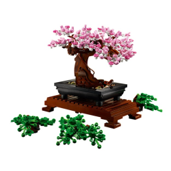 LEGO 10281