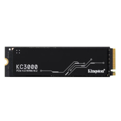 Kingston SKC3000S/512G