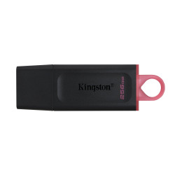 Kingston DTX/256GB