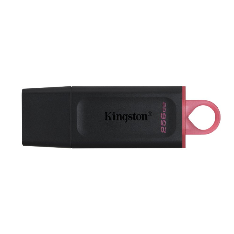 Kingston DTX/256GB