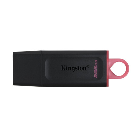 Kingston DTX/256GB