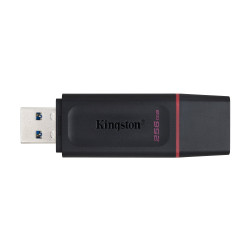 Kingston DTX/256GB