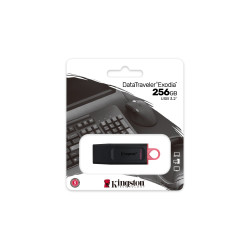 Kingston 256GB USB 3.2 Gen1 DataTraveler Flash drive