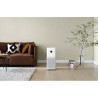 Xiaomi BHR5056EU
