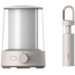 Xiaomi BHR7349GL