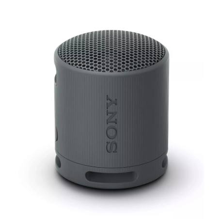 Sony SRSXB100B.CE7