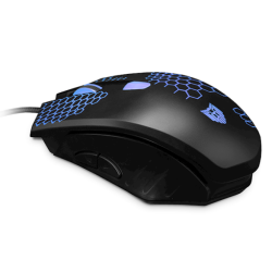 Liocat GSM108889