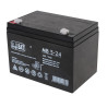 RoGer AKU.24V-5AH