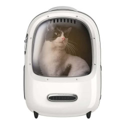 Xiaomi Breezy-2-W
