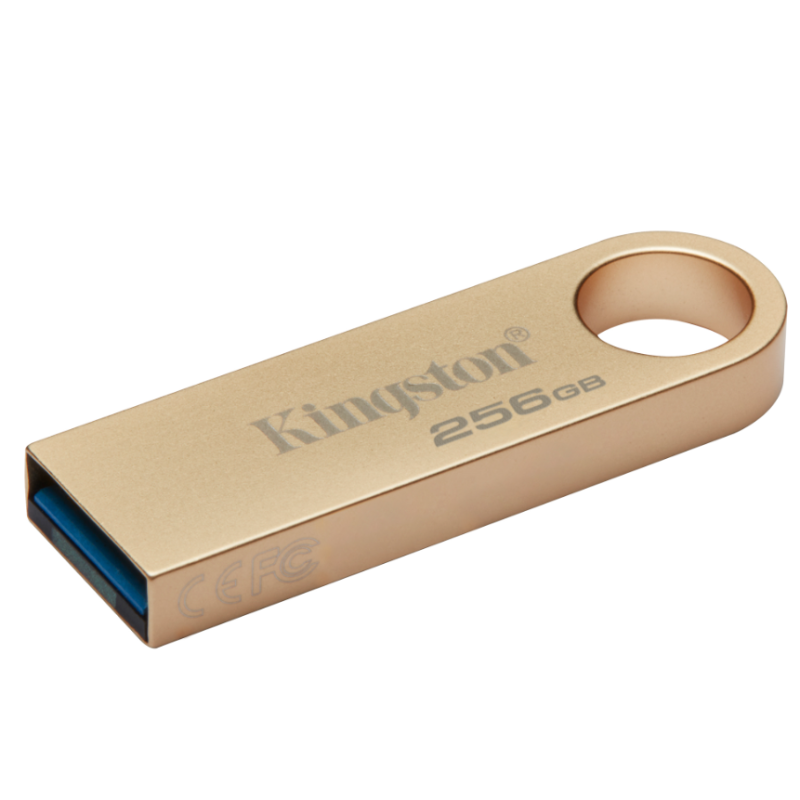 Kingston DTSE9G3/256GB