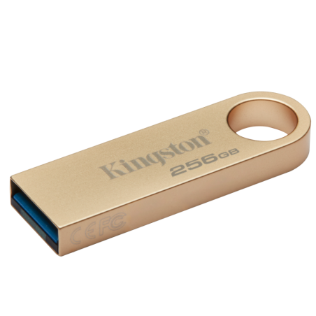 Kingston DTSE9G3 Data Traveler Flash Memory 256GB / USB3.2 Gen1