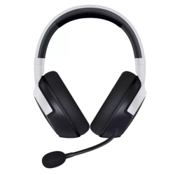 Razer RZ04-03980100-R3M1
