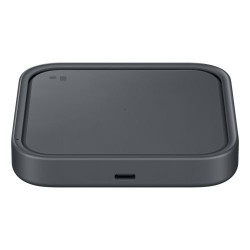 Samsung EP-P2400TBEGEU