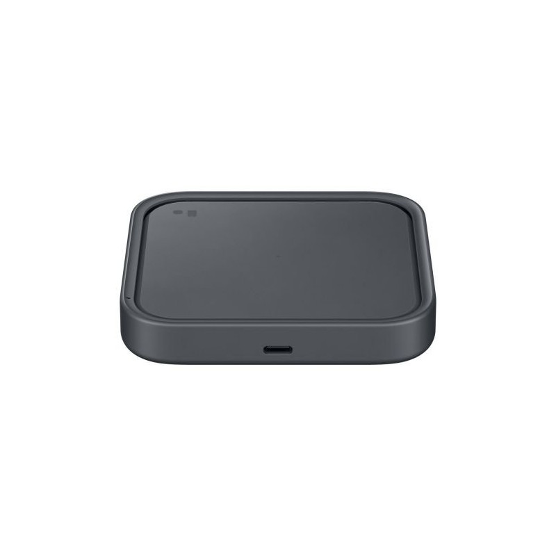 Samsung EP-P2400TBEGEU