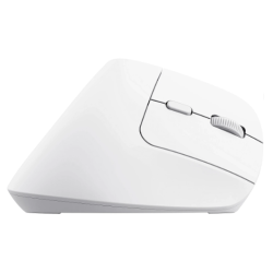Trust Bayo Wireless + Bluetooth Mouse 2400 DPI
