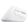Trust Bayo Wireless + Bluetooth Mouse 2400 DPI