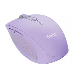 Trust 25384