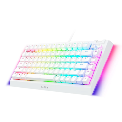 Razer BlackWidow V4 Gaming Keyboard