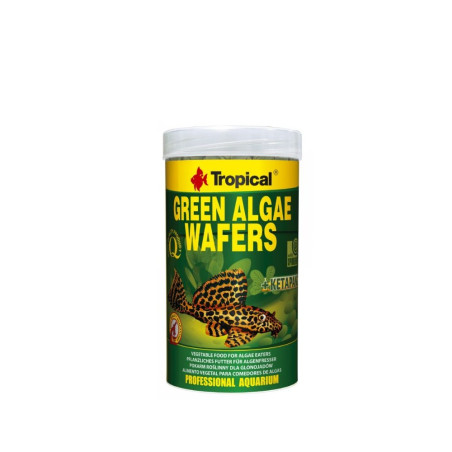 Tropical TRO66423