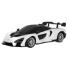 Rastar ZRC.96700.BIA