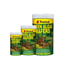 Tropical TRO66423
