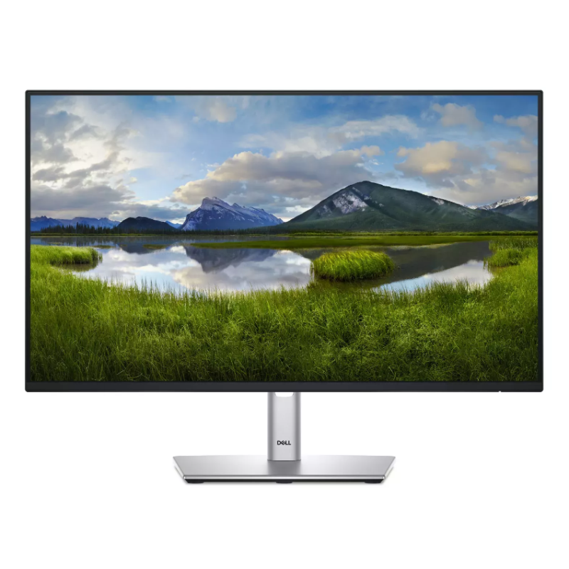Dell P2425HE