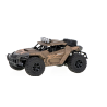 RoGer RC Off-Road Toy Car 20 km/h 1:16