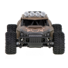 RoGer RC Off-Road Toy Car 20 km/h 1:16