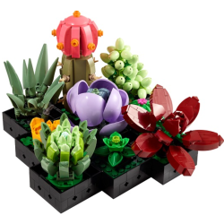 LEGO 10309 Succulents Constructor