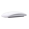 Apple MK2E3Z/A Magic Wireless mouse
