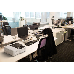 Epson WorkForce DS-1730 Flatbed & ADF scanner 1200 x 1200 DPI A4 Black, White