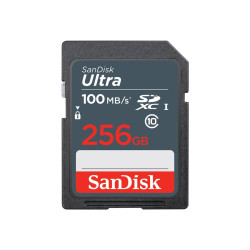 SanDisk SDSDUNR-256G-GN3IN