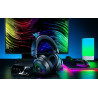 Razer RZ04-05160100-R3M1