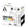 Arctic Freezer 36 A-RGB CPU Cooler
