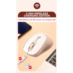 RoGer Q7 Wireless Rechargeable Mouse DPI 1600 /  Type-C